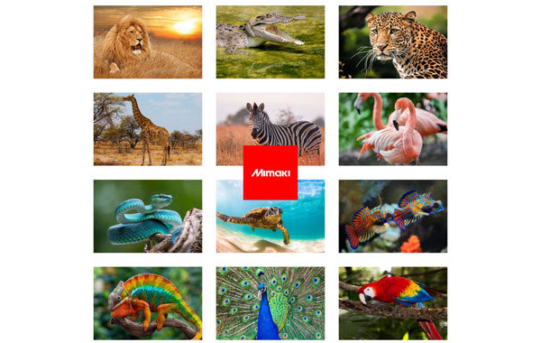 Application Days - Window Graphics